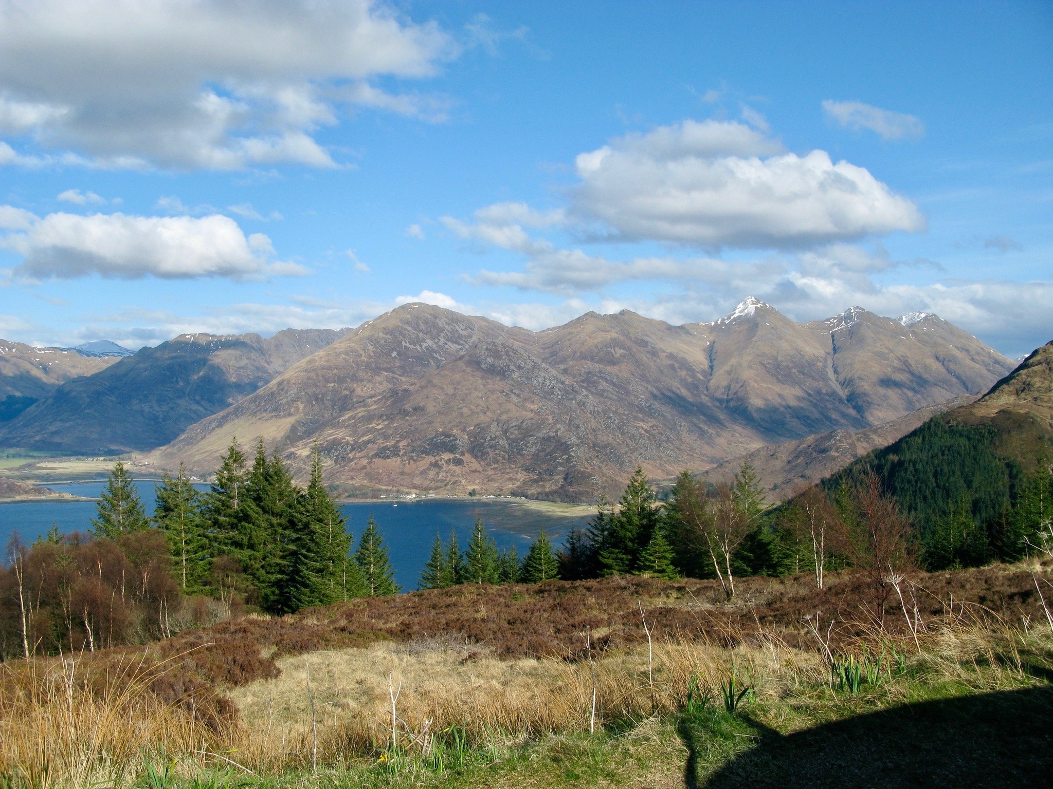 Five Sisters in Spring