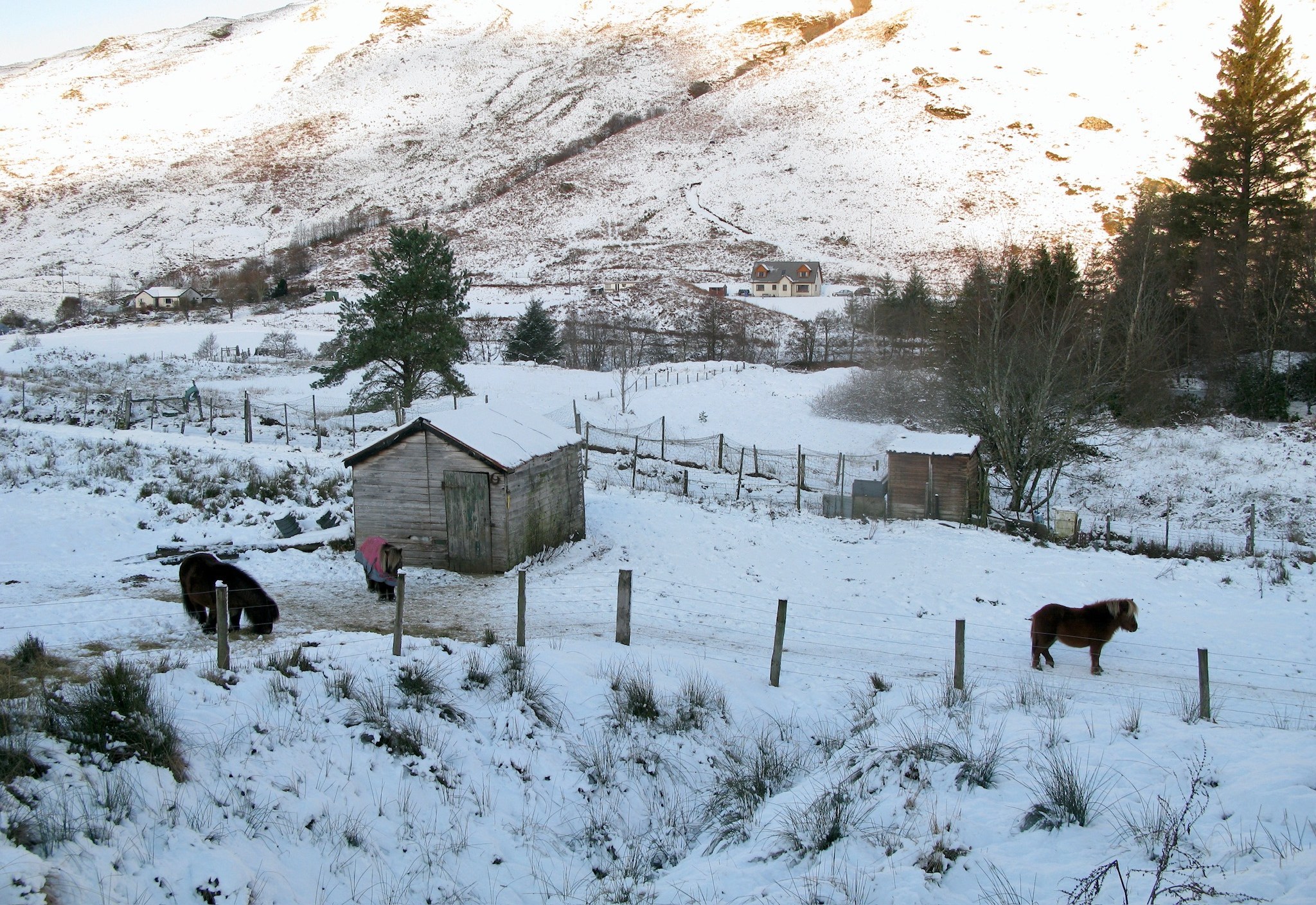 Larach Sithe in Winter